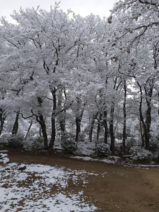 Les Chêneslierres Lourmarin Exterior foto